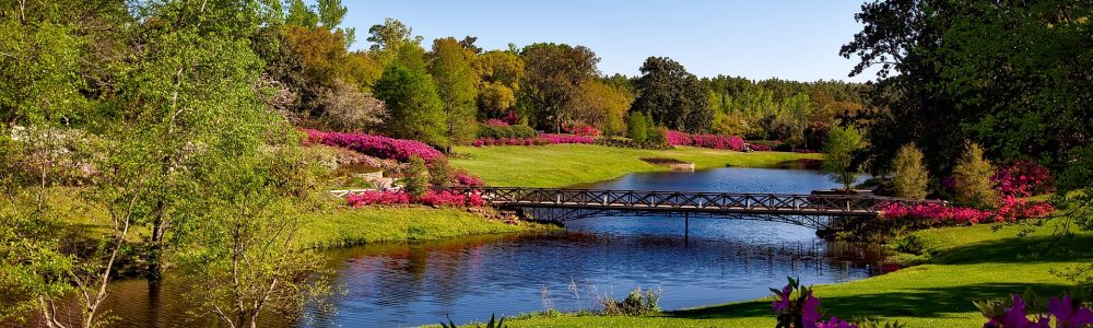 bellingrath-gardens-1612728_1920 bellingrath-gardens-1612728_1920